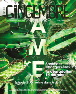 remaides magazine gingembre information vih sida ist hépatites prévention santé sexuelle ame